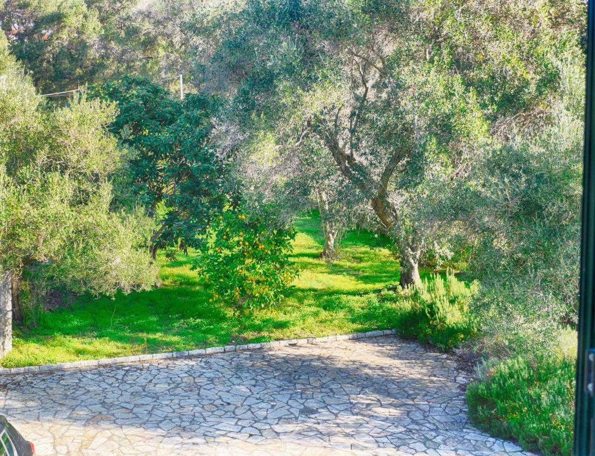 Villa Afionas - 3 Minutes From The Beach With Heated Eco-Pool And Sunset View المظهر الخارجي الصورة